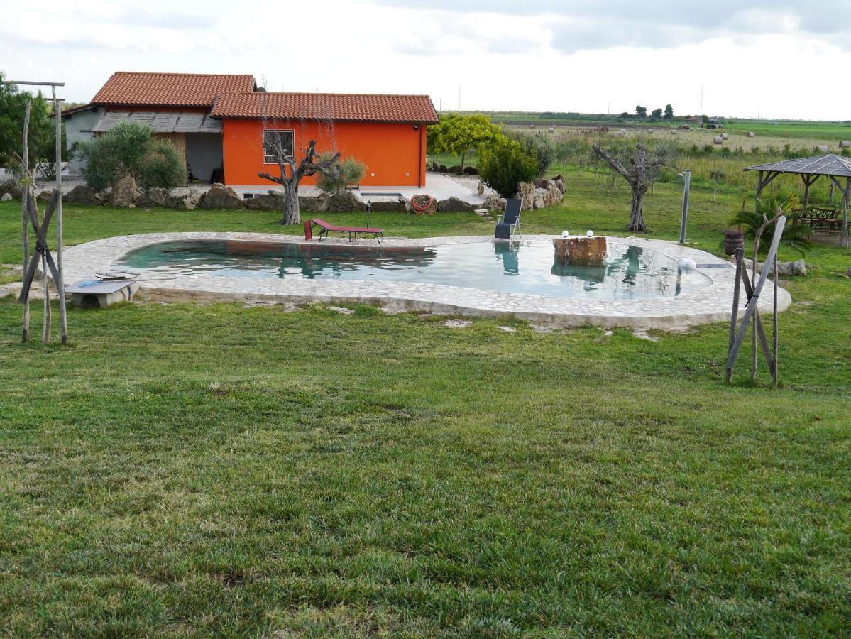 Casa Daniele Konuk evi Canino Dış mekan fotoğraf