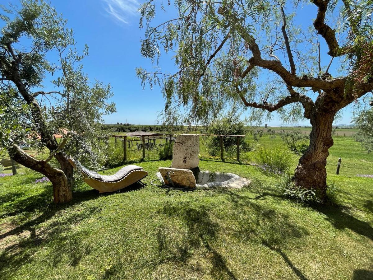 Casa Daniele Konuk evi Canino Dış mekan fotoğraf