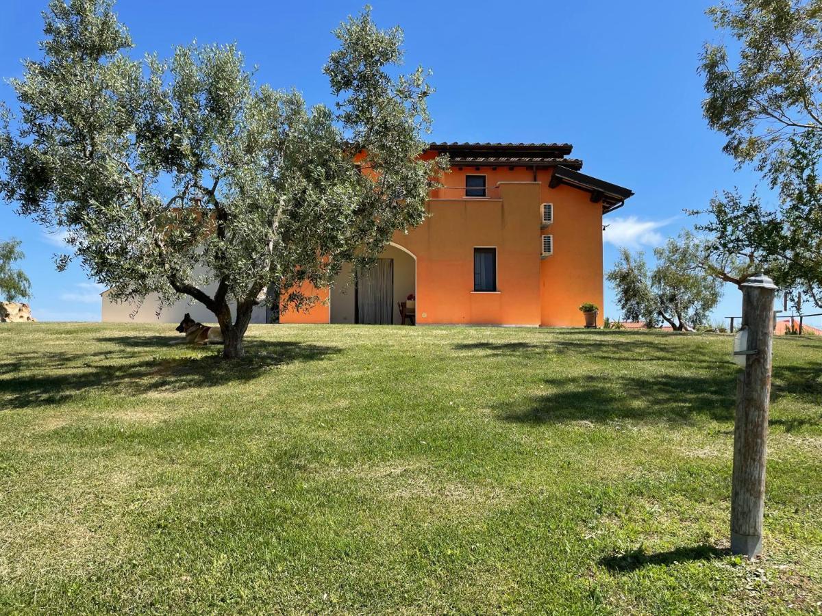 Casa Daniele Konuk evi Canino Dış mekan fotoğraf